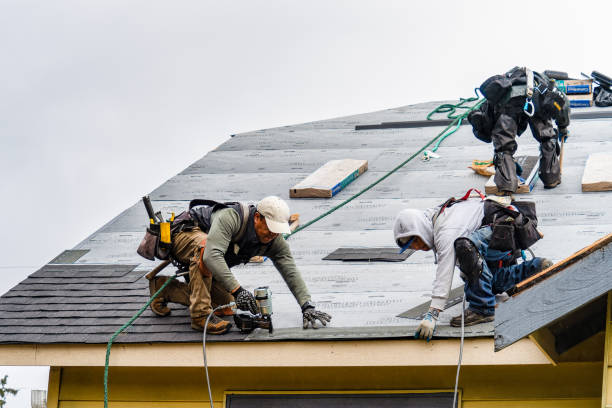 Professional Storm Damage Roof Repair technician working in Waterville, NY